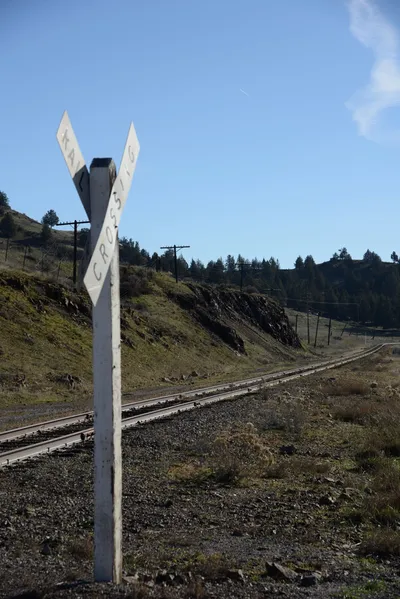 DSC_1083 (Large).JPG